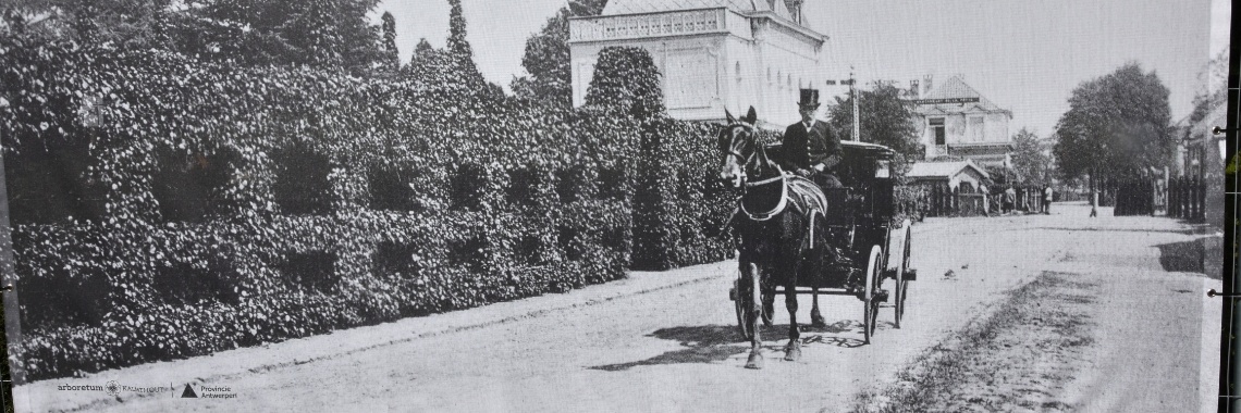 From CRAD | Rudy Siedlecki 🌳