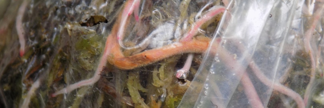 Marcoting  | Rudy Siedlecki 🌳