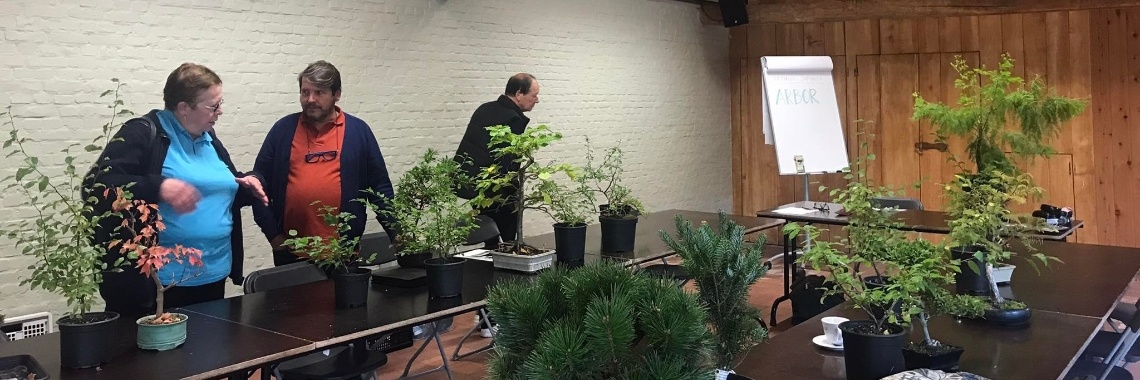 ARBOR is geboren ! | Rudy Siedlecki 🌳