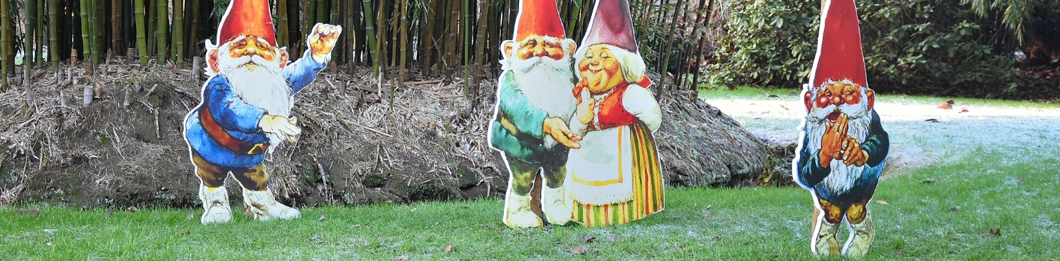 Waar gaan de kabouters naartoe in de kerstvakantie? | Rudy Siedlecki 🌳
