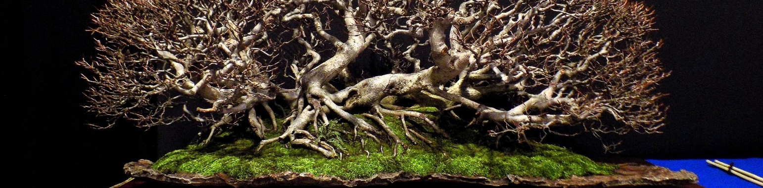 The Trophy 2023 | Rudy Siedlecki 🌳