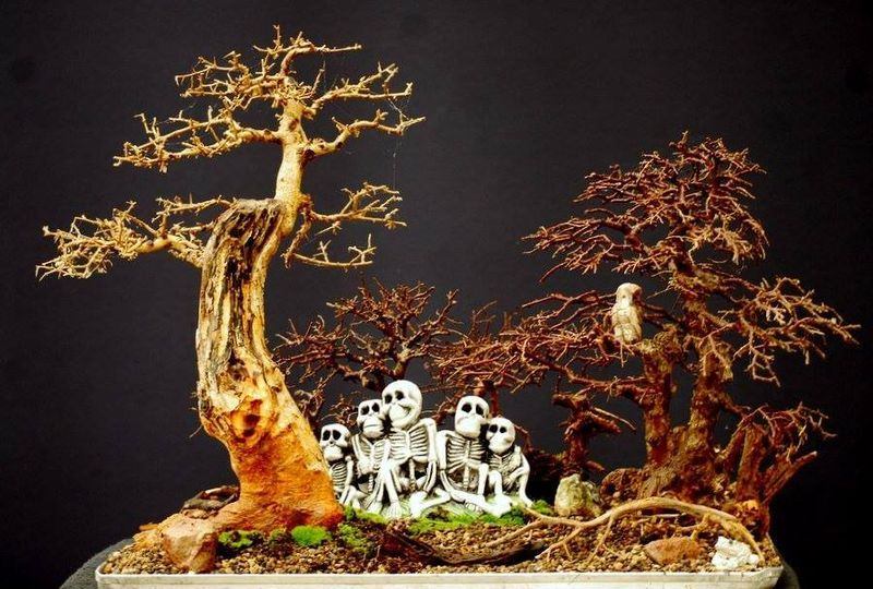 Halloween en Bonsai | Rudy Siedlecki 🌳