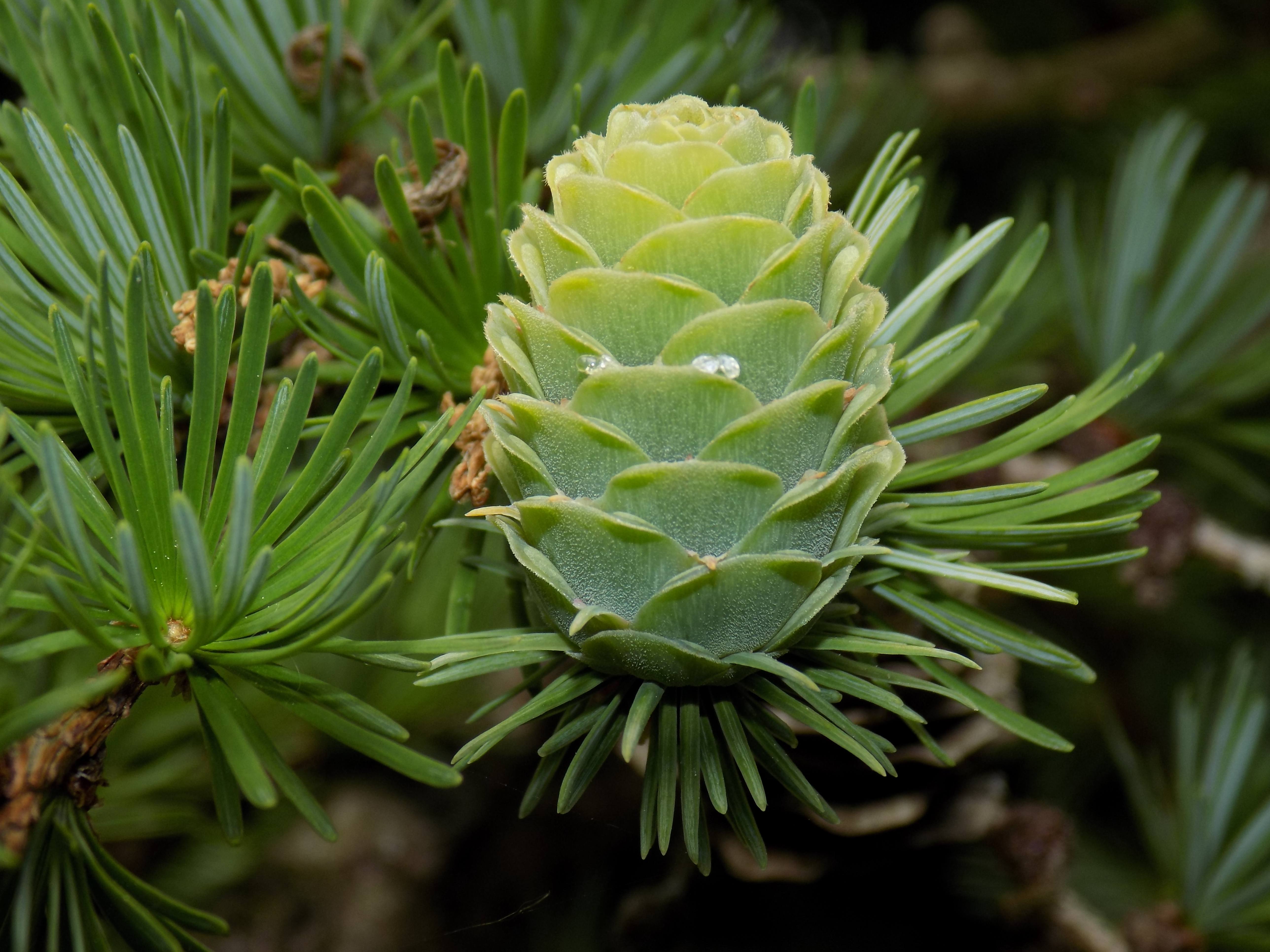 Voor &amp; na | Rudy Siedlecki 🌳