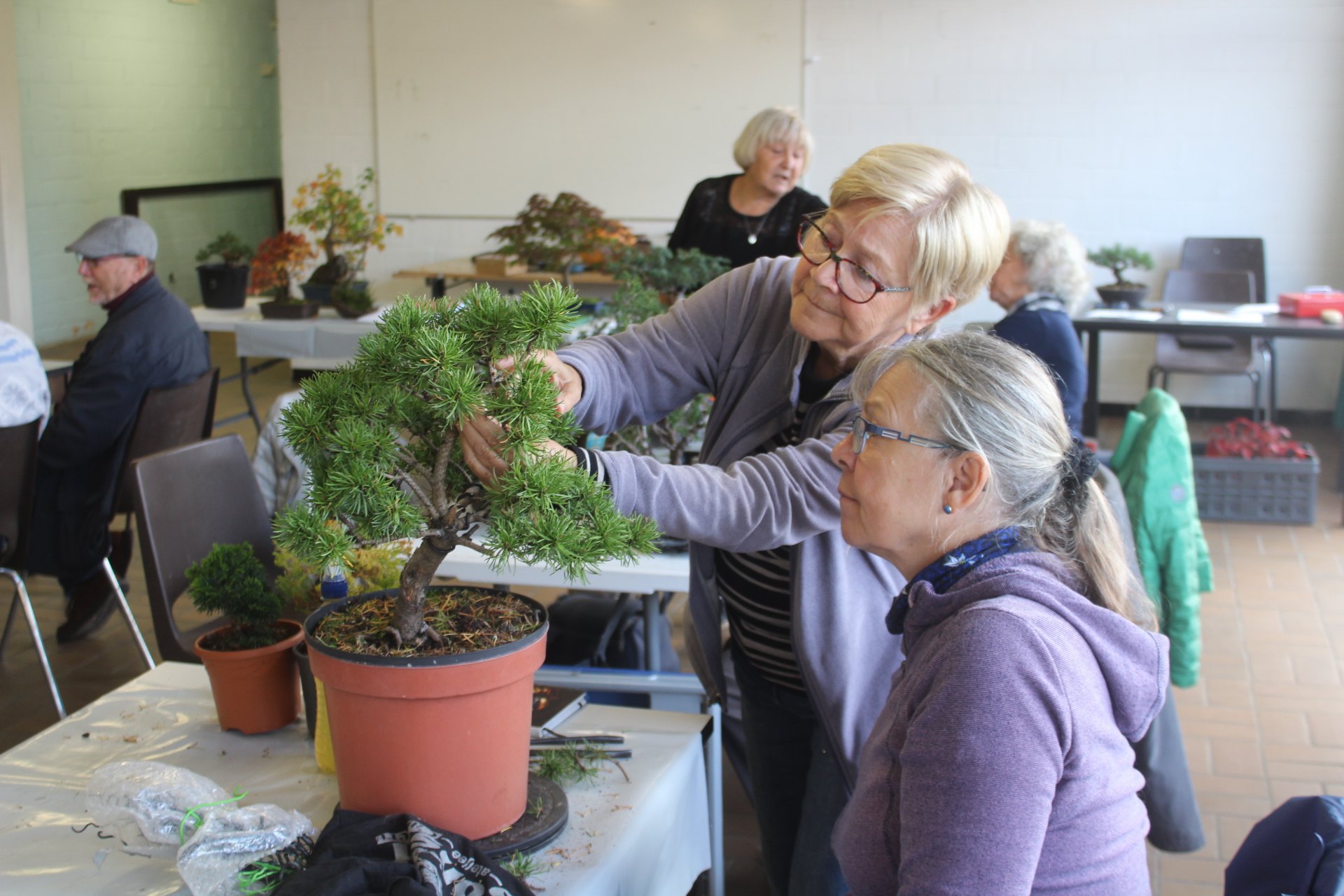 What does Chatgpt know about me? | Rudy Siedlecki π³