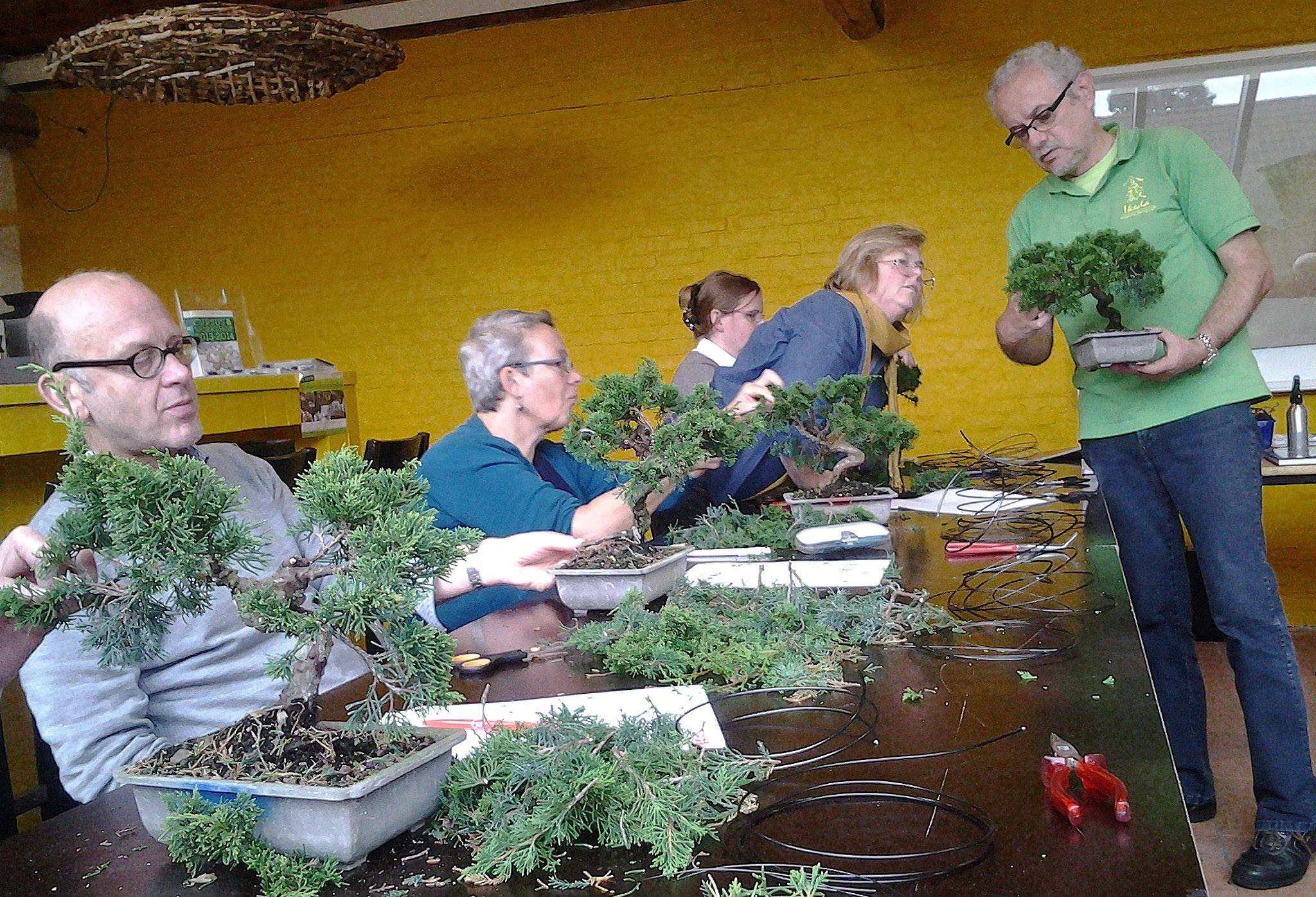 The Club | Rudy Siedlecki 🌳