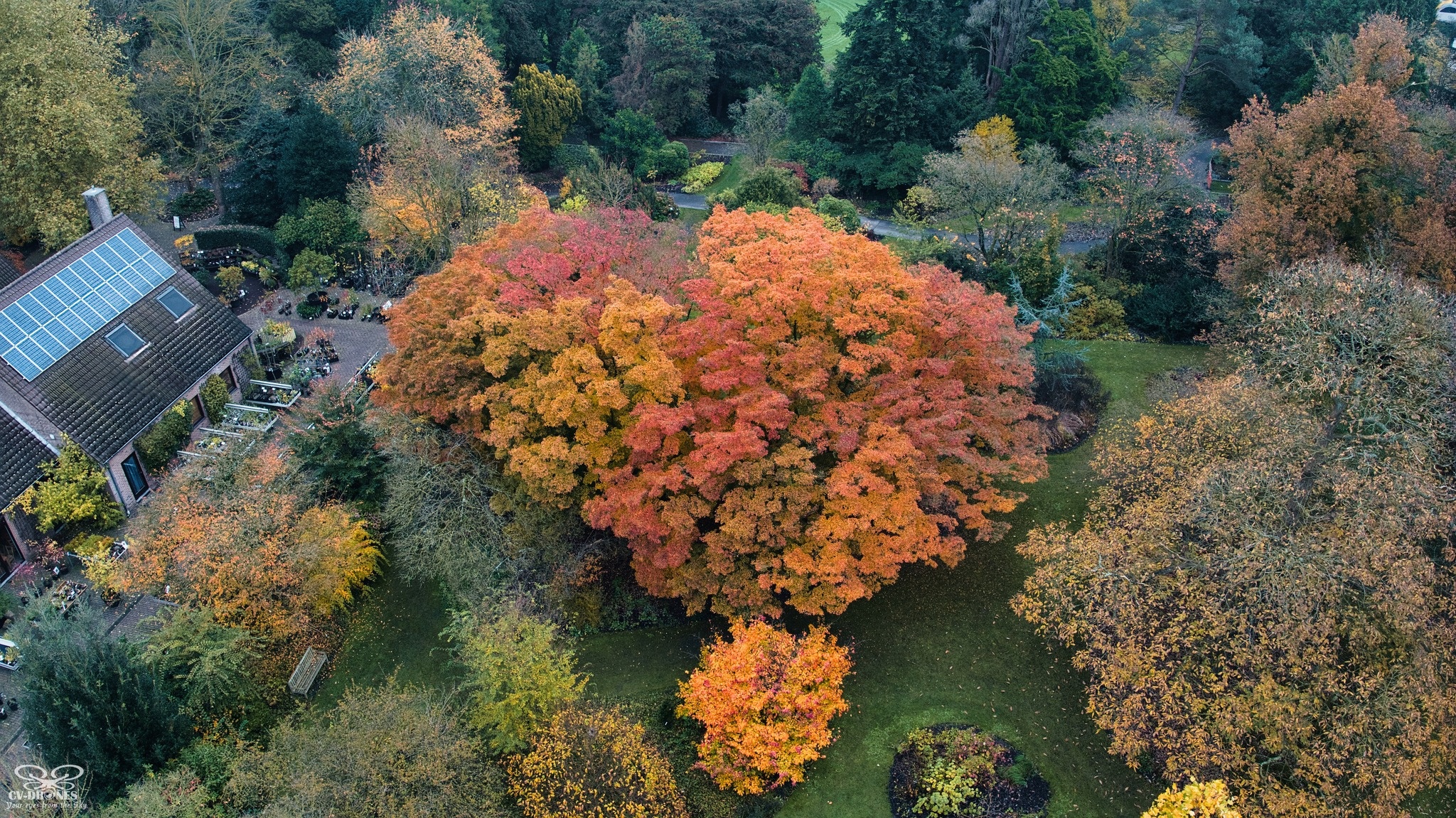 Wie vliegt er mee? | Rudy Siedlecki 🌳