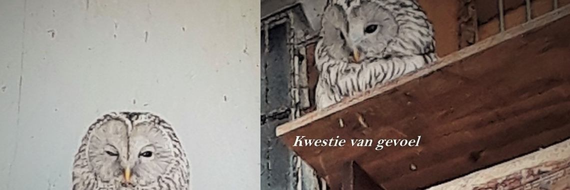 Vocabulaire participatie | Paola