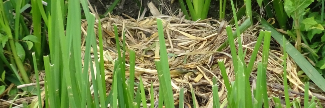 Vrij    (140 W mei) | Paola