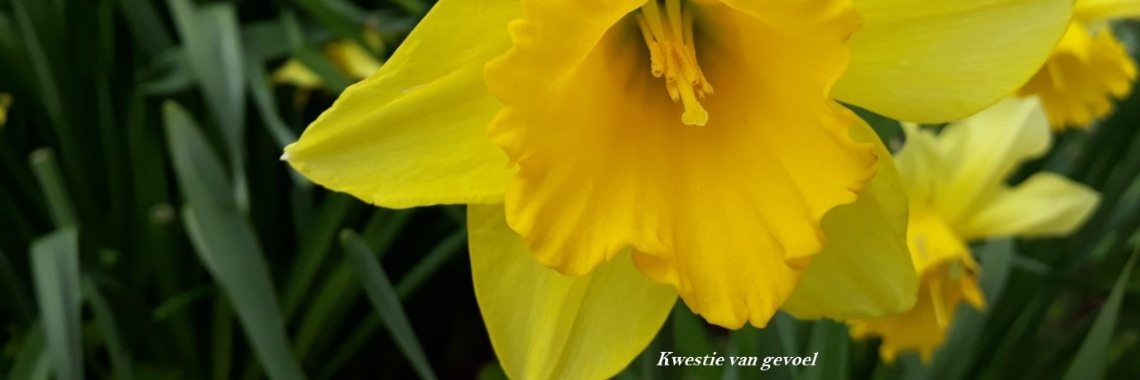 Vrolijke groet | Paola