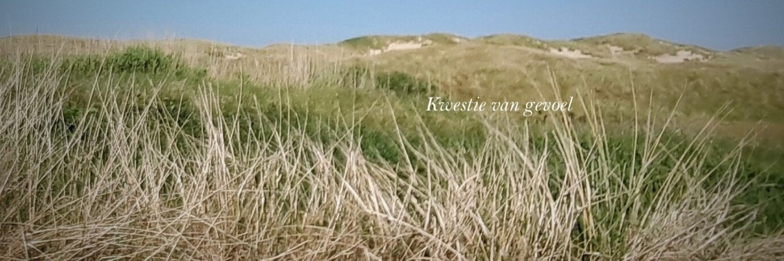 Wind mee | Paola