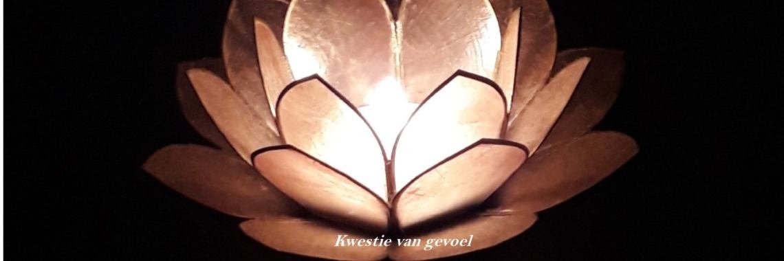 Liefde licht | Paola
