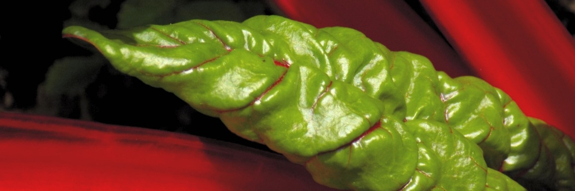 Warmoes (11) Het Einde | Minne van A. 👄