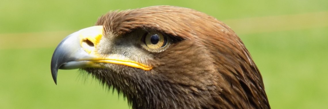 Mijn vijf meest bekeken blogs**** | Minne van A. 👄