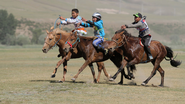 mongoolse paardenrace - Yoors