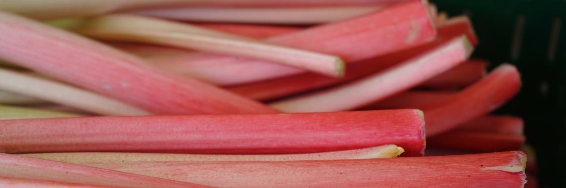 Rabarbertijd | Ditte Pelser