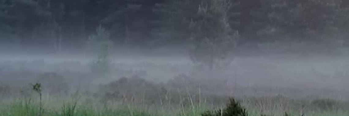 Hoe om te gaan met overmatig kritiek | Nadia