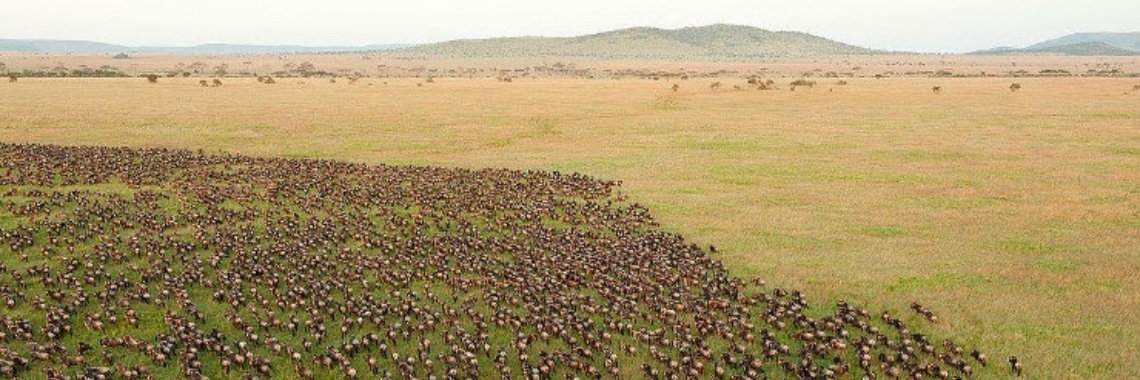 Consumptie en klimaatverandering | Renate