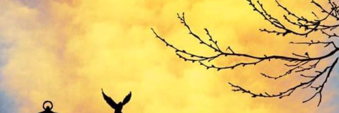 Geef jij jezelf ruimte? | Renate