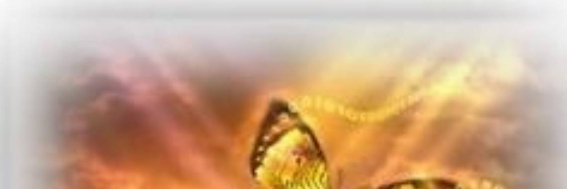 Het Afscheid | Renate