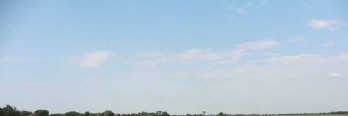 Mogelijke effecten van bestrijdingsmiddelen op weidevogels | Renate