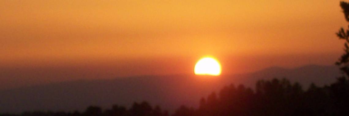 Branden in Portugal zijn onder controle en wat nu ! | Origileen