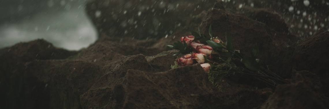 Codependentie en relatieverslaving | Mieke Van Liefde