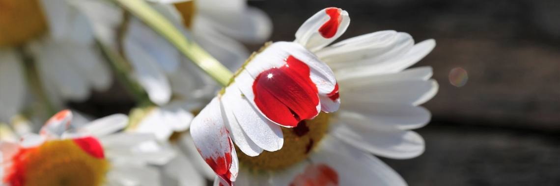 Ga jij echt zelfmoord plegen?  | Mieke Van Liefde