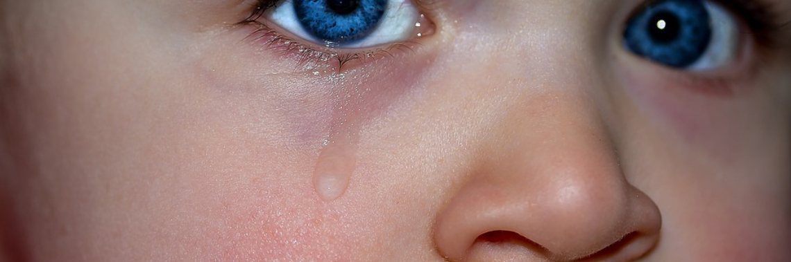 Uihomeplacements Belgium and the Netherlands | Mieke Van Liefde