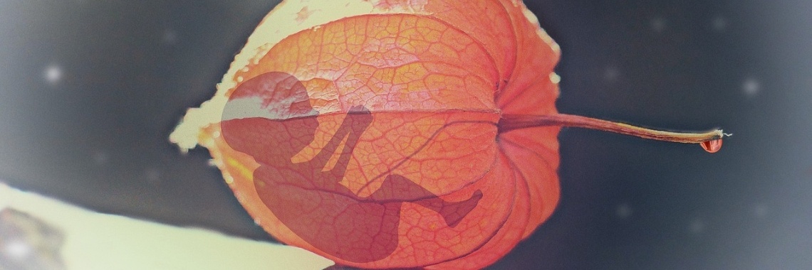 Wel of geen abortus? | Mieke Van Liefde