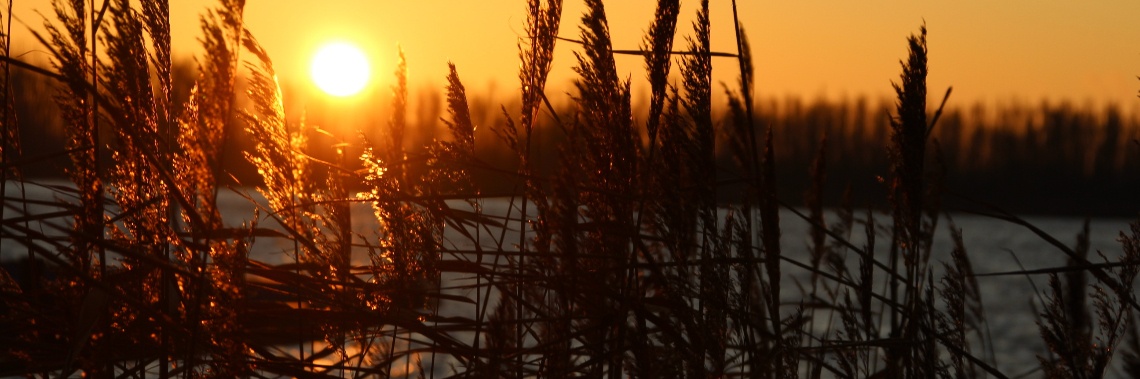 Are you enjoying it?! | Thea