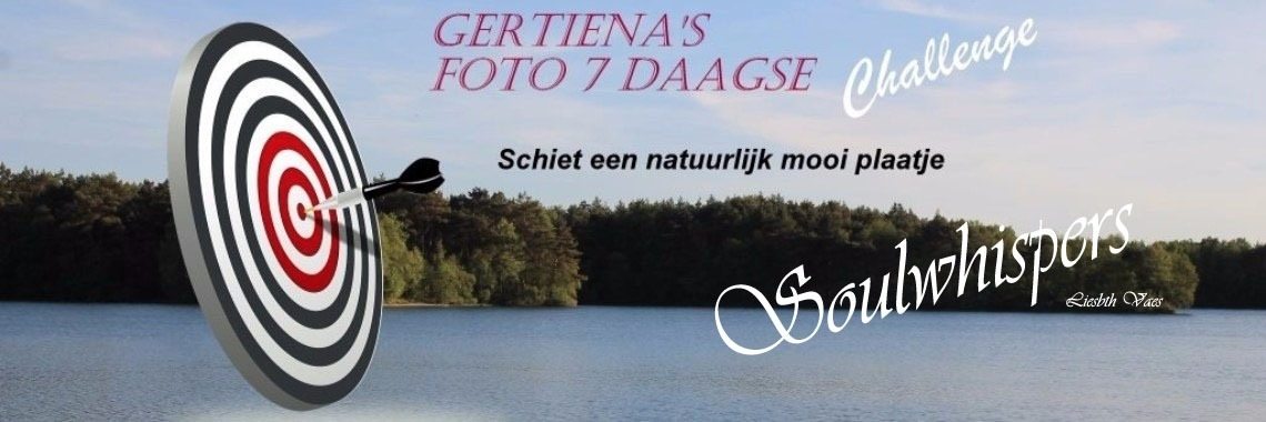 Fotochallenge dag 7 - Them Trees | Soulwhispers