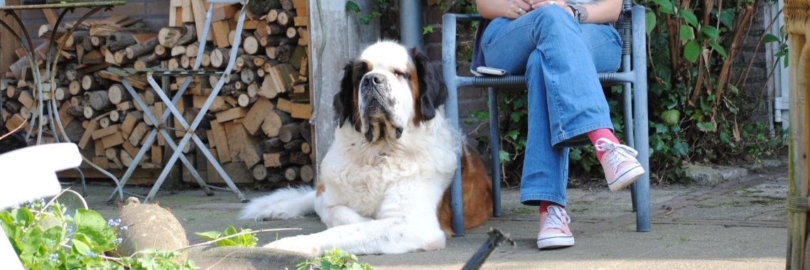 Ben je incontinent of heb je een sint bernard? | Karin Rietbroek