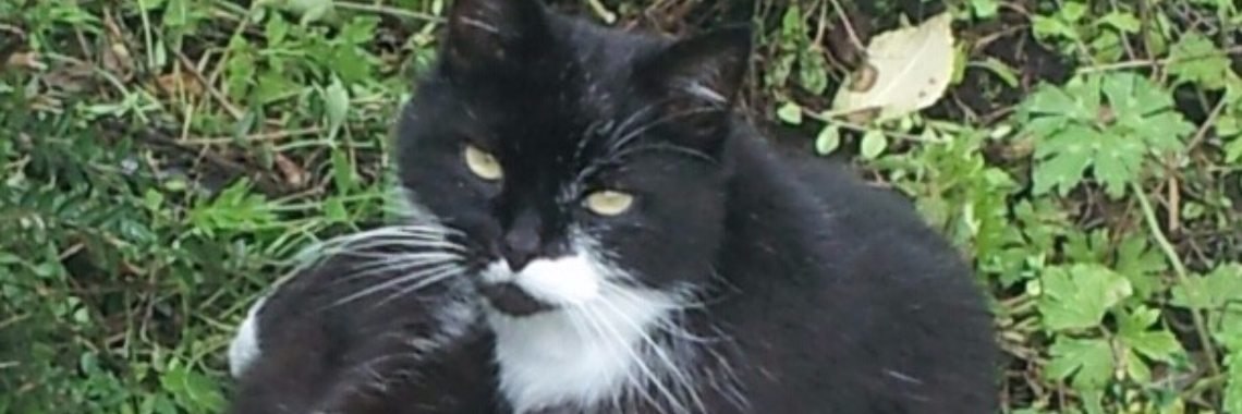 Morgen wordt zijn oog verwijderd. | Karin Rietbroek