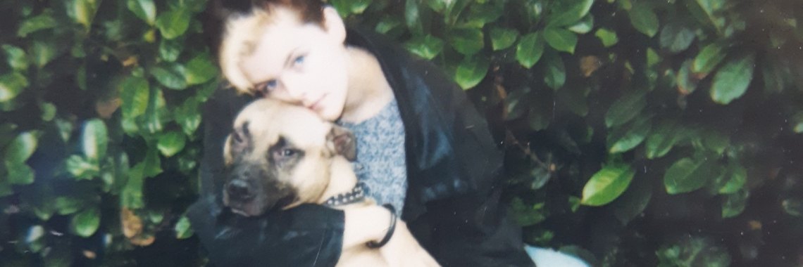 Reno, 1 pitbull die de rad-wet niet overleefde. | Karin Rietbroek