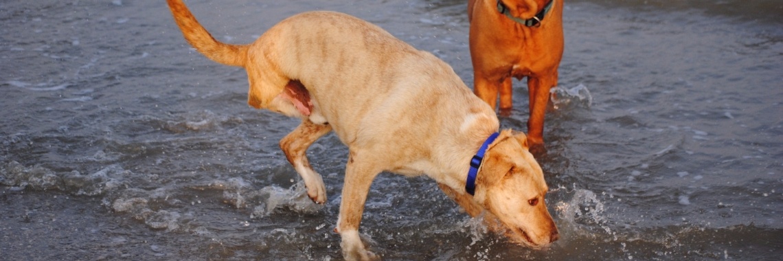 Stomme vraag=stom antwoord | Karin Rietbroek