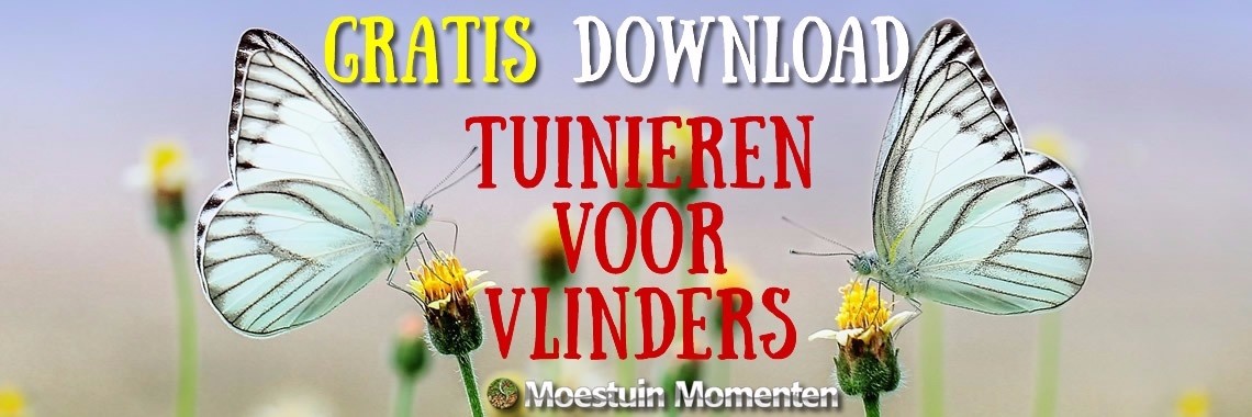 GRATIS Download: Tuinieren Voor Vlinders | Moestuinmomenten