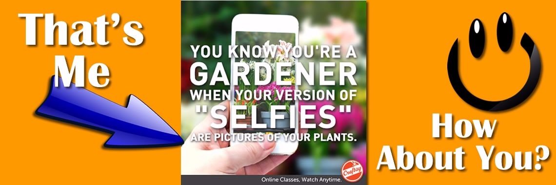 Heb jij 'Selfies' Van Je Planten? | Moestuinmomenten