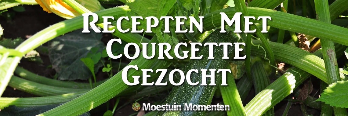 Het Lekkerste Courgette-Recept Wordt Beloond Met 100YP | Moestuinmomenten