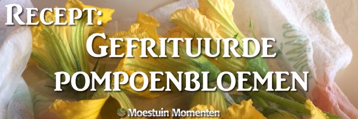 Recept: Gefrituurde Pompoenbloemen - Een Geslaagd Experiment | Moestuinmomenten