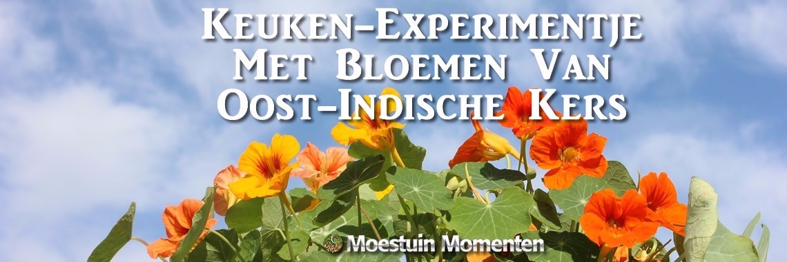Recept: Oost-Indische Kers-Azijn - Een Experimentje | Moestuinmomenten