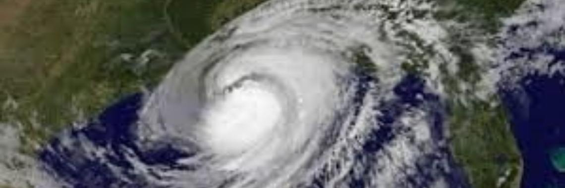 Blub, I'm a fish! | Dagmar Cockx