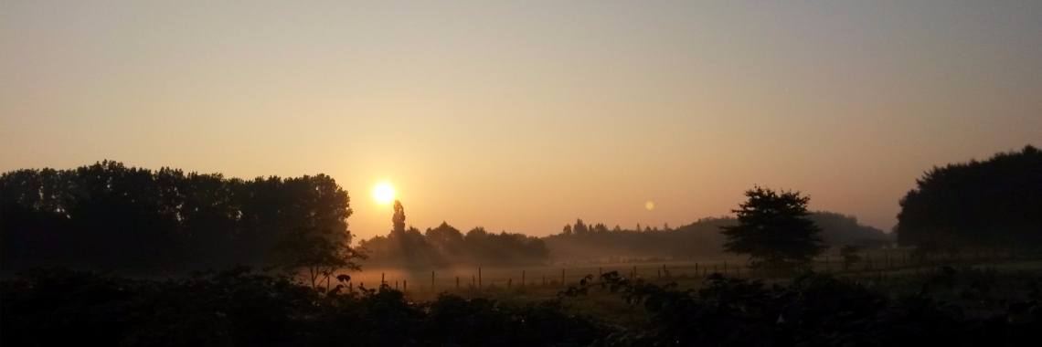 Too bloody hot to cook (with basic mayo and cold brew coffee recipes) | My tiny paleo kitchen