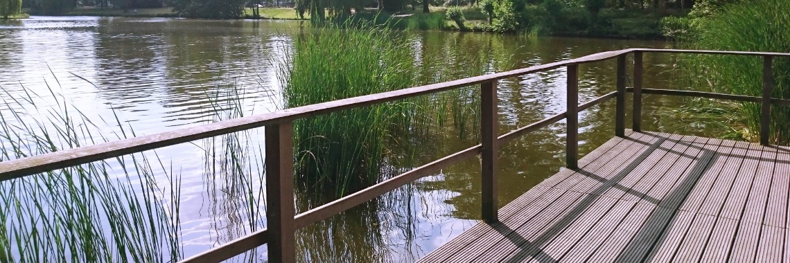 Hardlopend het weekend in | TessaIJmker