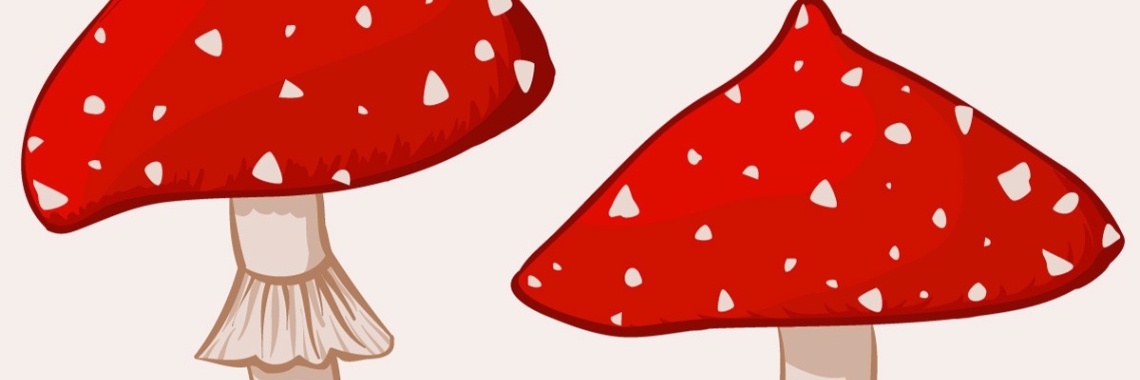 365 songs: Op een grote paddestoel  | Alie Engelsman