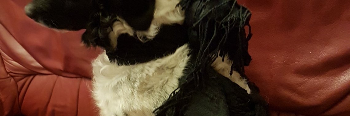 Ingezwachteld... | Alie Engelsman