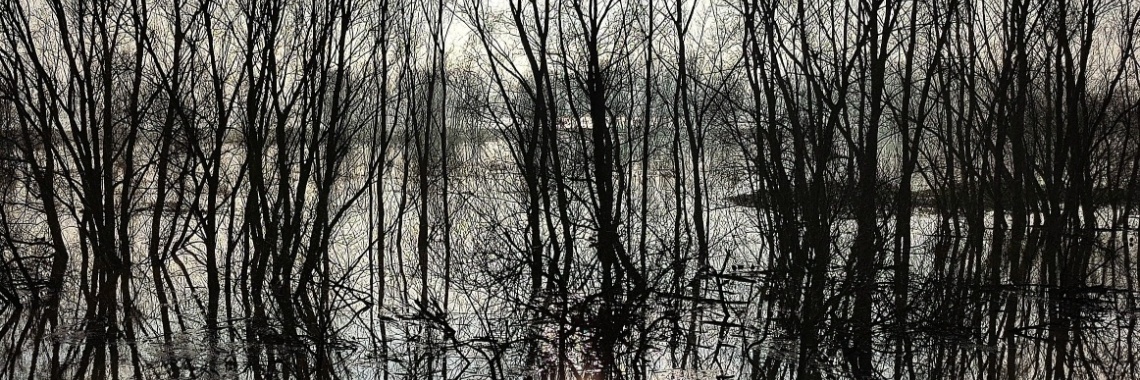 Van spookachtig naar sprookjesachtig | Alie Engelsman