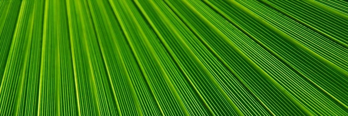 #Energie: Welke voordelen hebben alternatieve energiebronnen? #duurzaam #iOPENER | iOPENERbSEEN