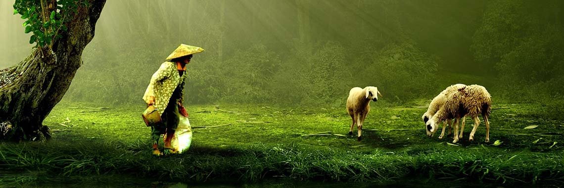 #Permaculture Green Gold - From bare rock to green oasis #sustainable #iOPENER | iOPENERbSEEN