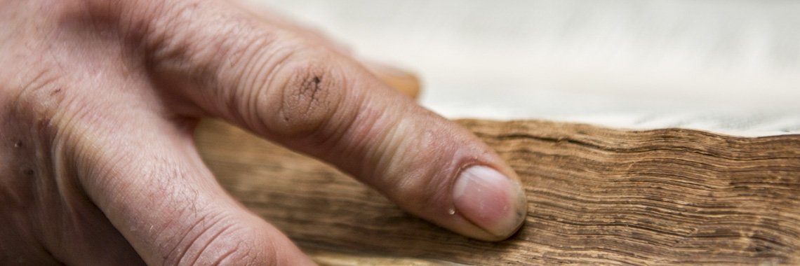 #Permaculture: I want to design with nature! in 6 steps #sustainable #iOPENER | iOPENERbSEEN