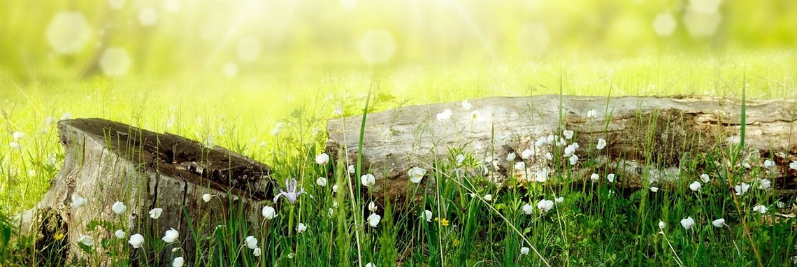#Permacultuur: Ik wil ontwerpen met de natuur! in 6 stappen #duurzaam #iOPENER | iOPENERbSEEN